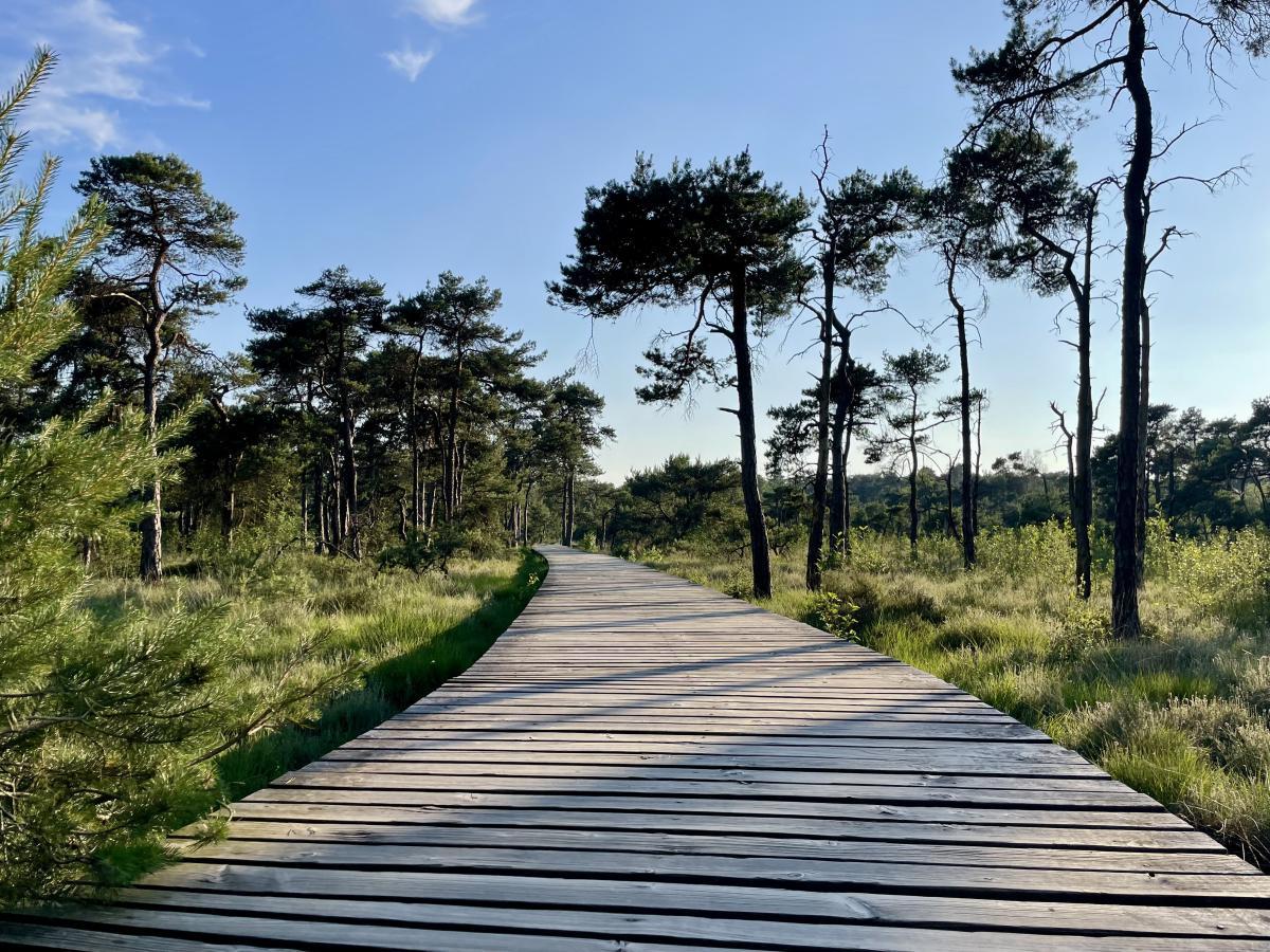 Wandelroutes in de buurt