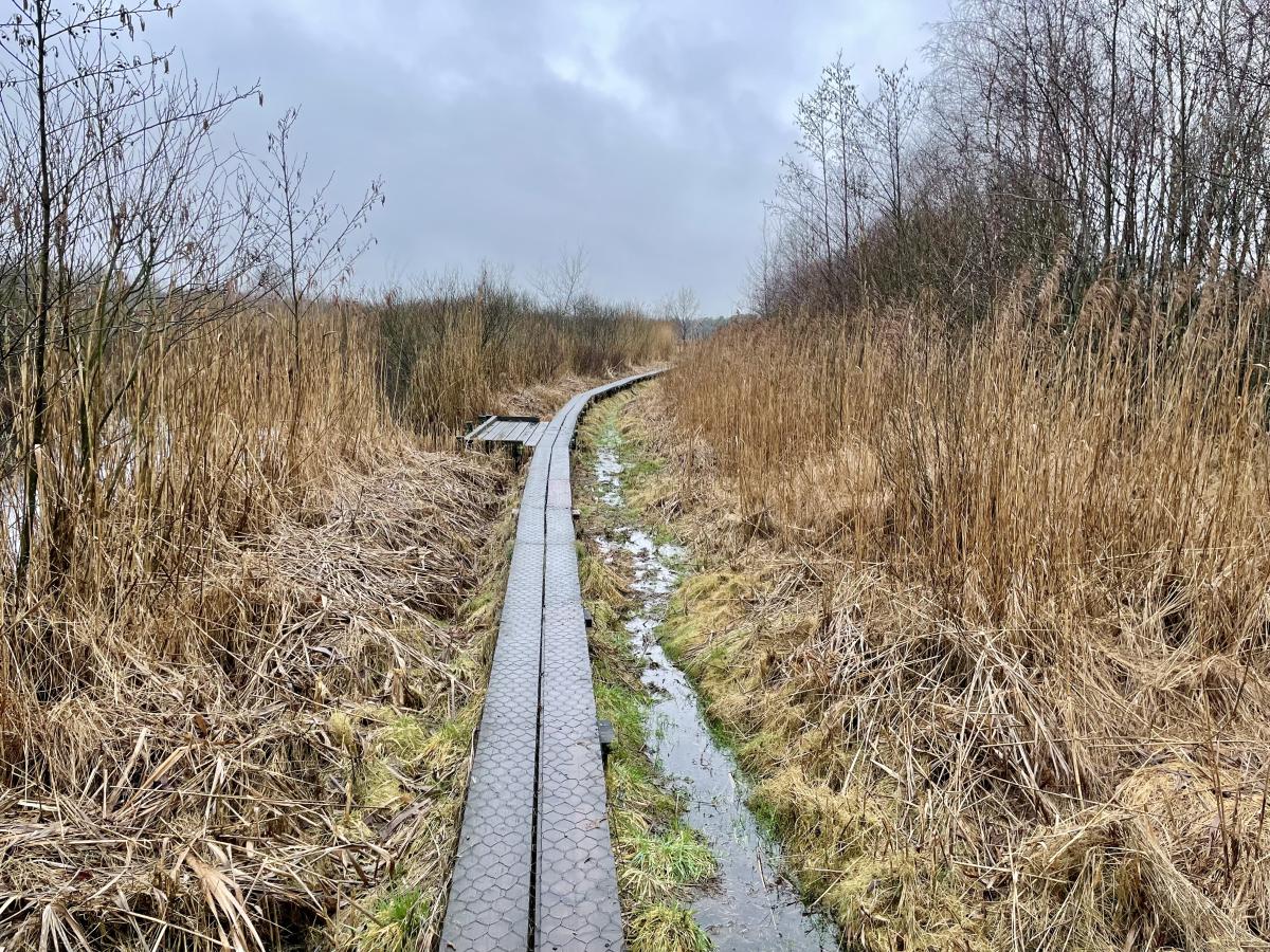 Vlonderpad Vragenderveen / Korenburgerveen Wandeling (Vragender)