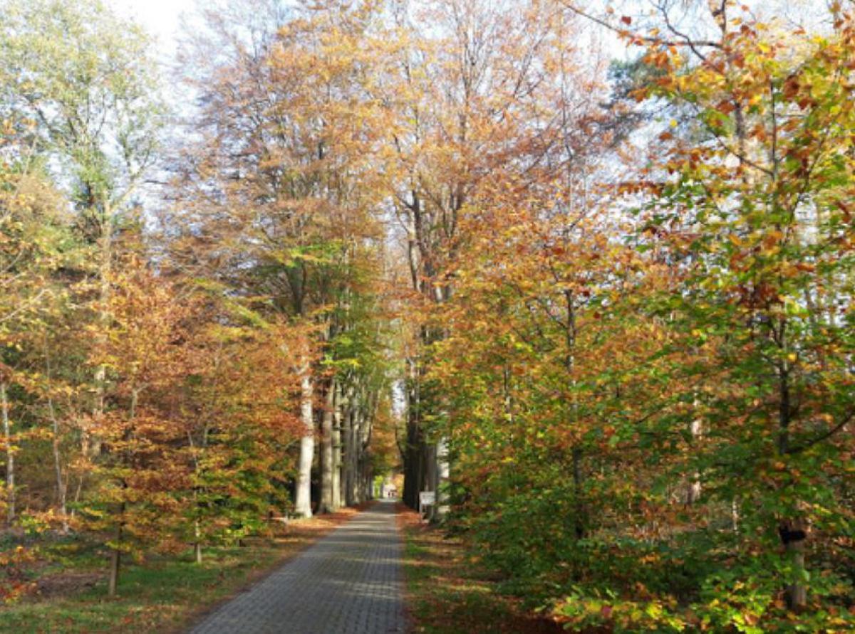 Wandeling Hoge Hexel - Wierden Lageveld