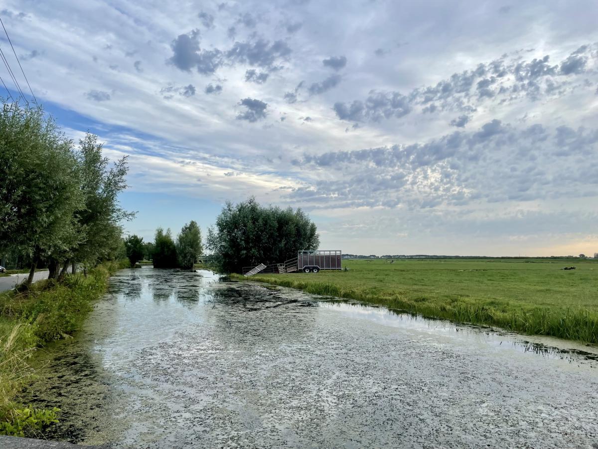 Autopuzzelroute door het Groene Hart
