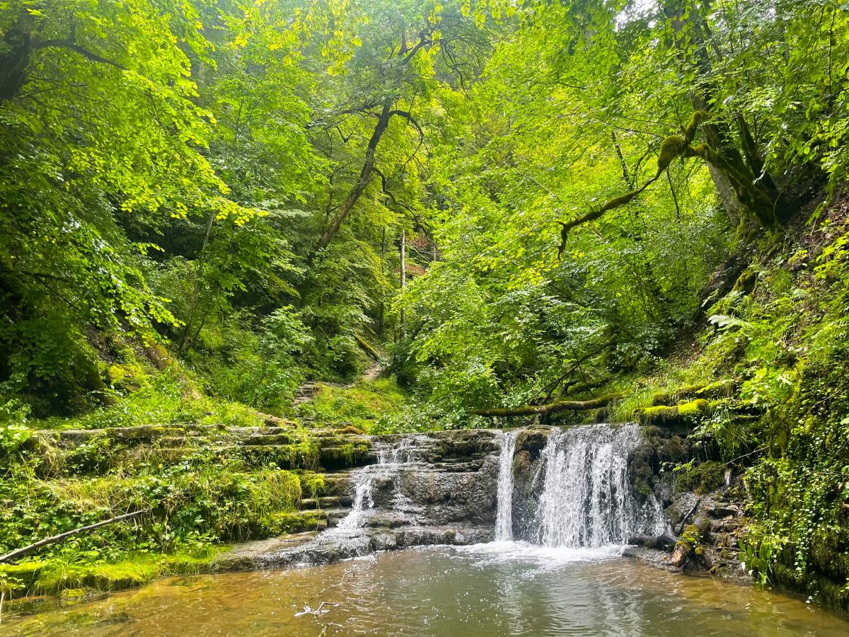 Gauchachschlucht kloof wandeling (Zwarte Woud)