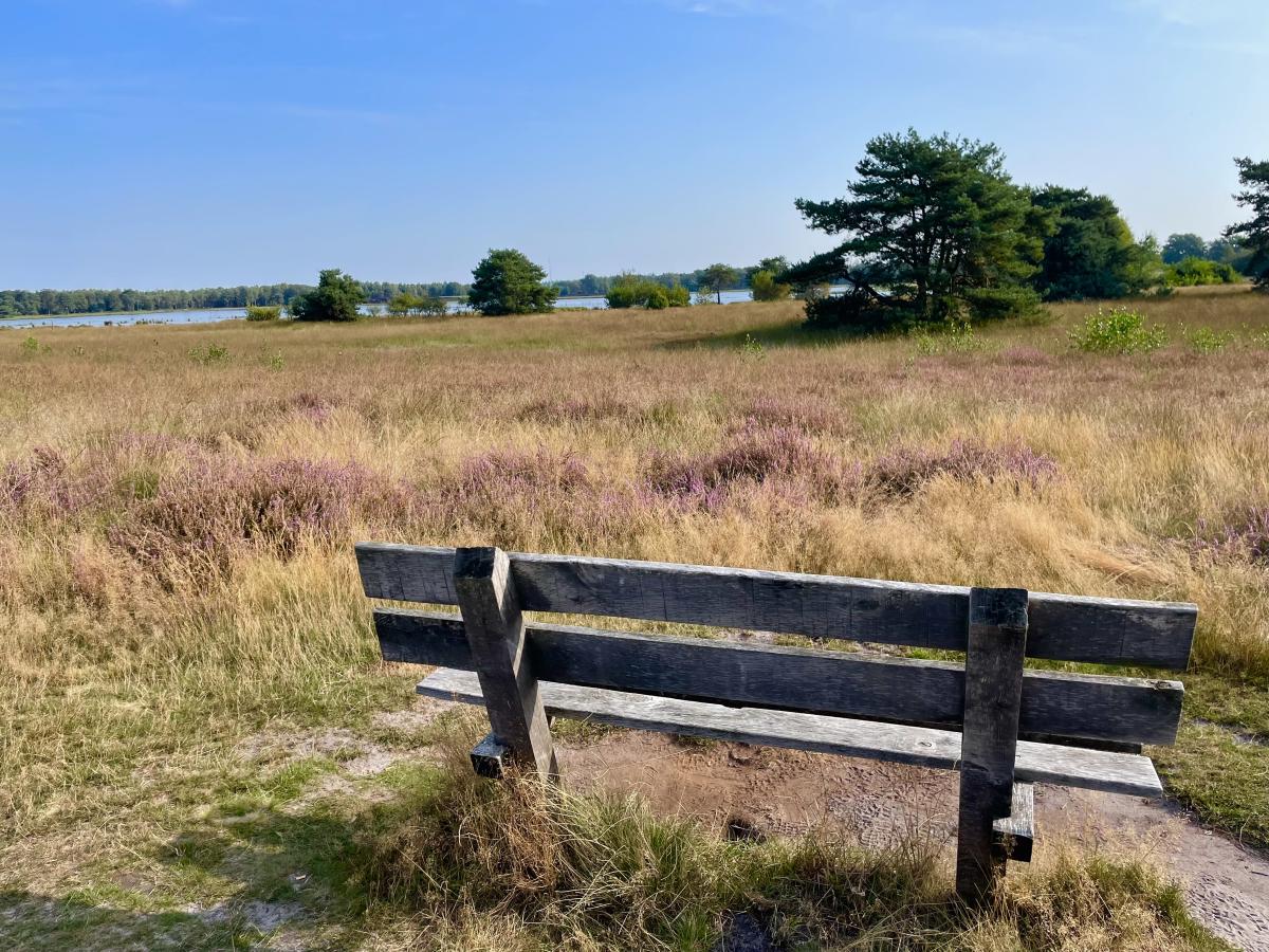 Wandeling Friezenberg - Bovenberg - Apenberg en Elsenerveld