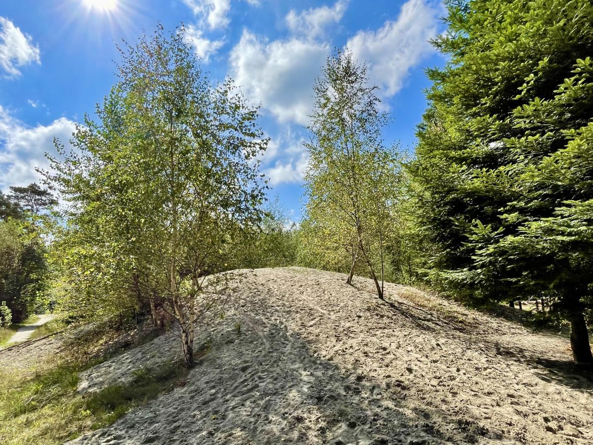 Wandelroute Wallebos Beetsterzwaag 5 KM