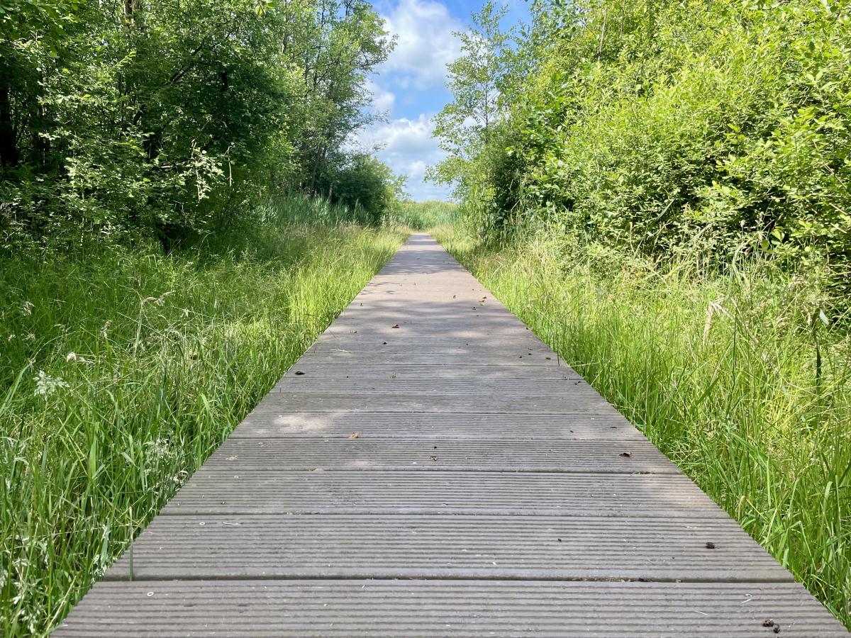 Plankenpad Vragenderveen 10 KM