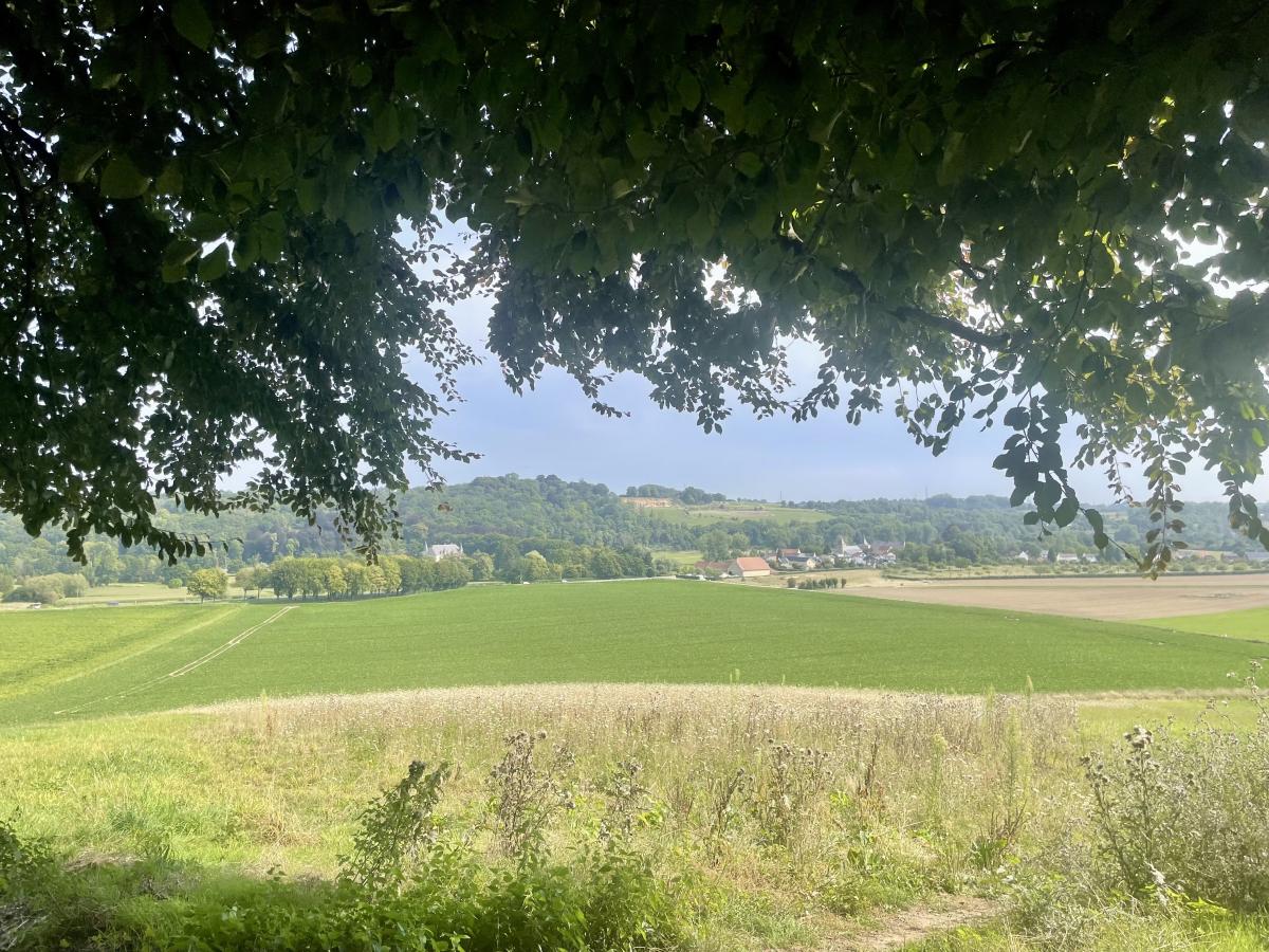 Wandeling Valkenburg a/d Geul