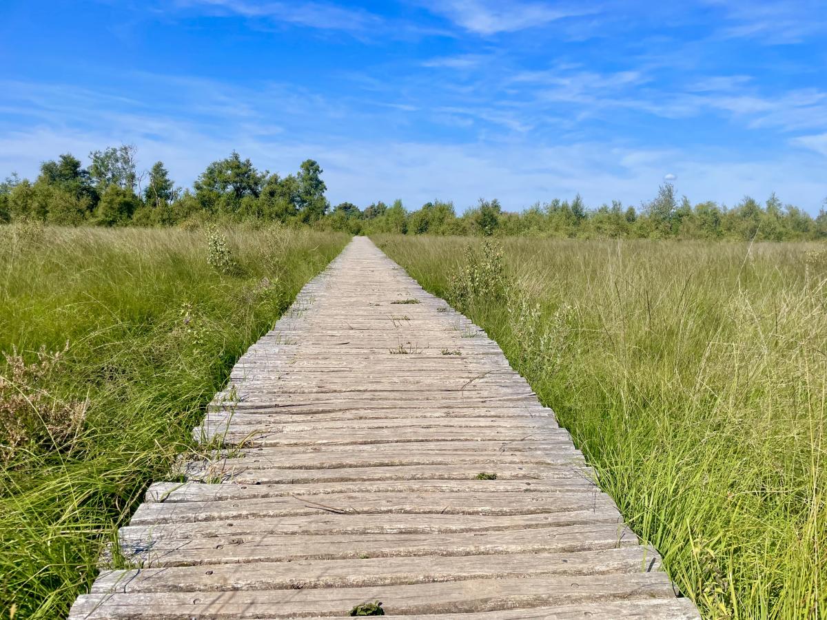 Vlonderpad de Peel 