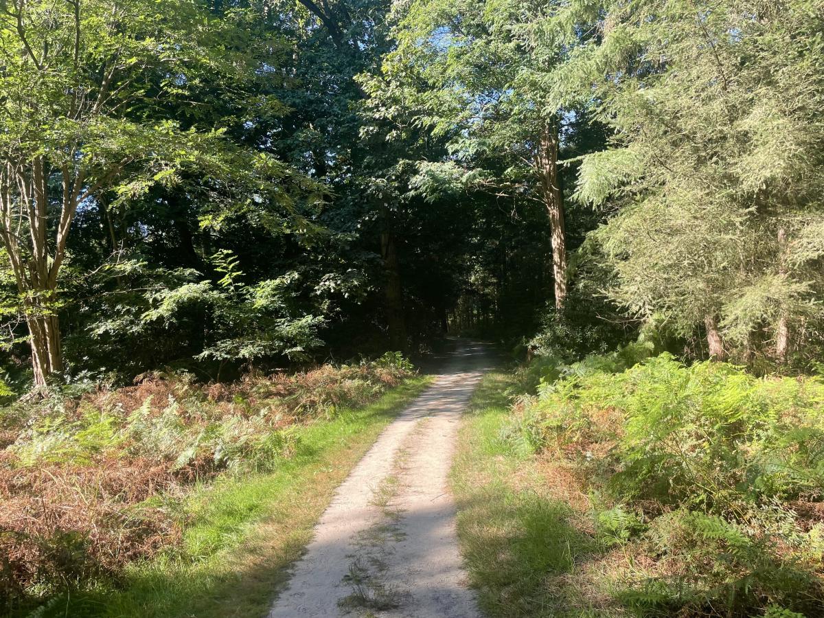 Wandelen Twickel 10 km 