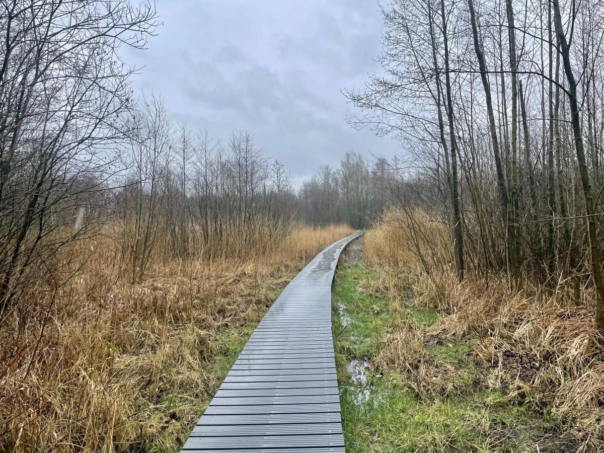Vlonderpad / plankenpad Beekbergen / Apeldoorn