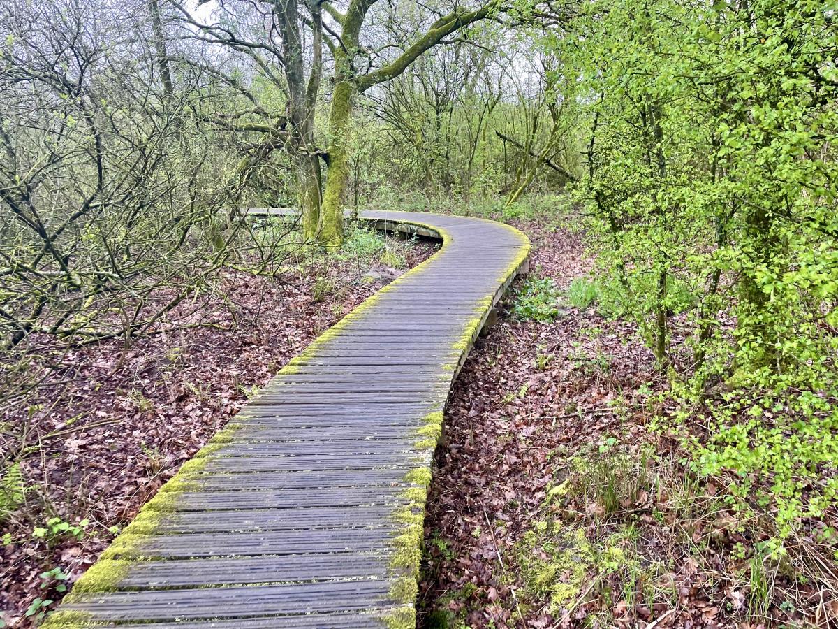 Vlonderpad Moerputten Den Bosch (Brabant)