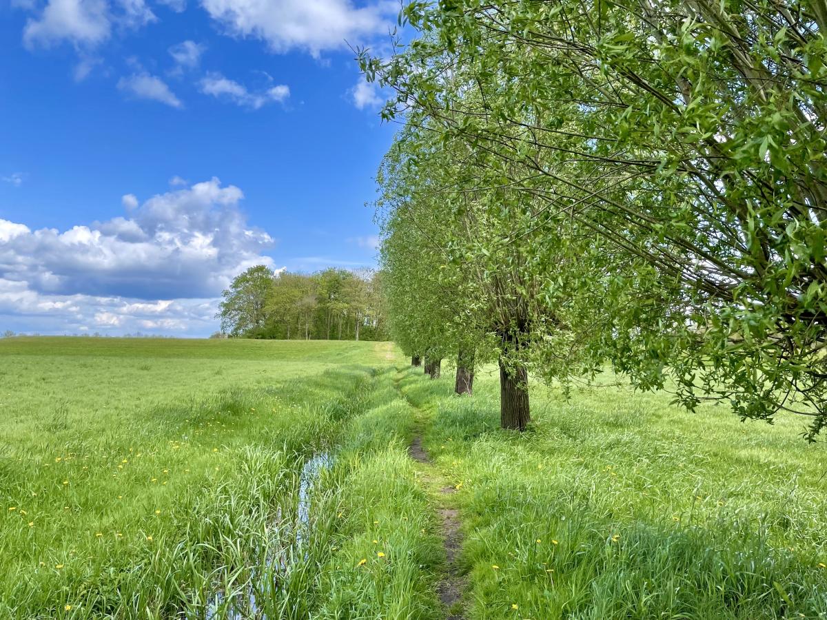 Korte 5 km wandelroutes Gelderland