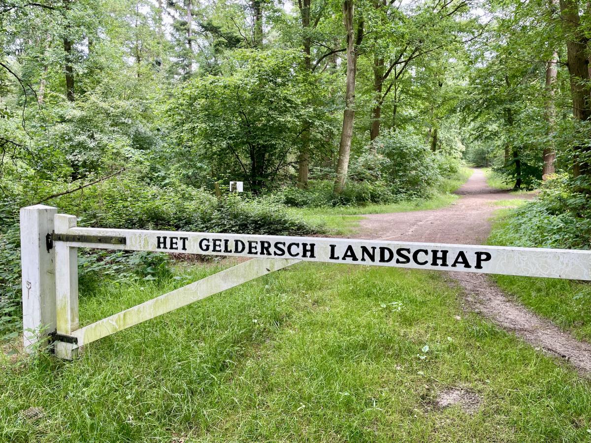 Wandeling De Lochemse Berg, Witte Wieven en de Boskapel te Barchem (Lochem / Achterhoek)