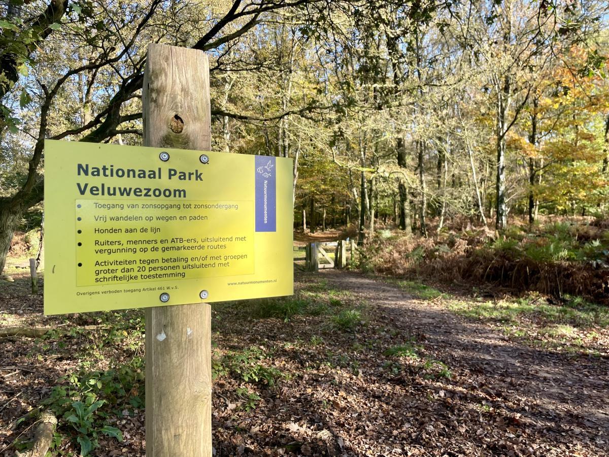 Wandelen Veluwezoom