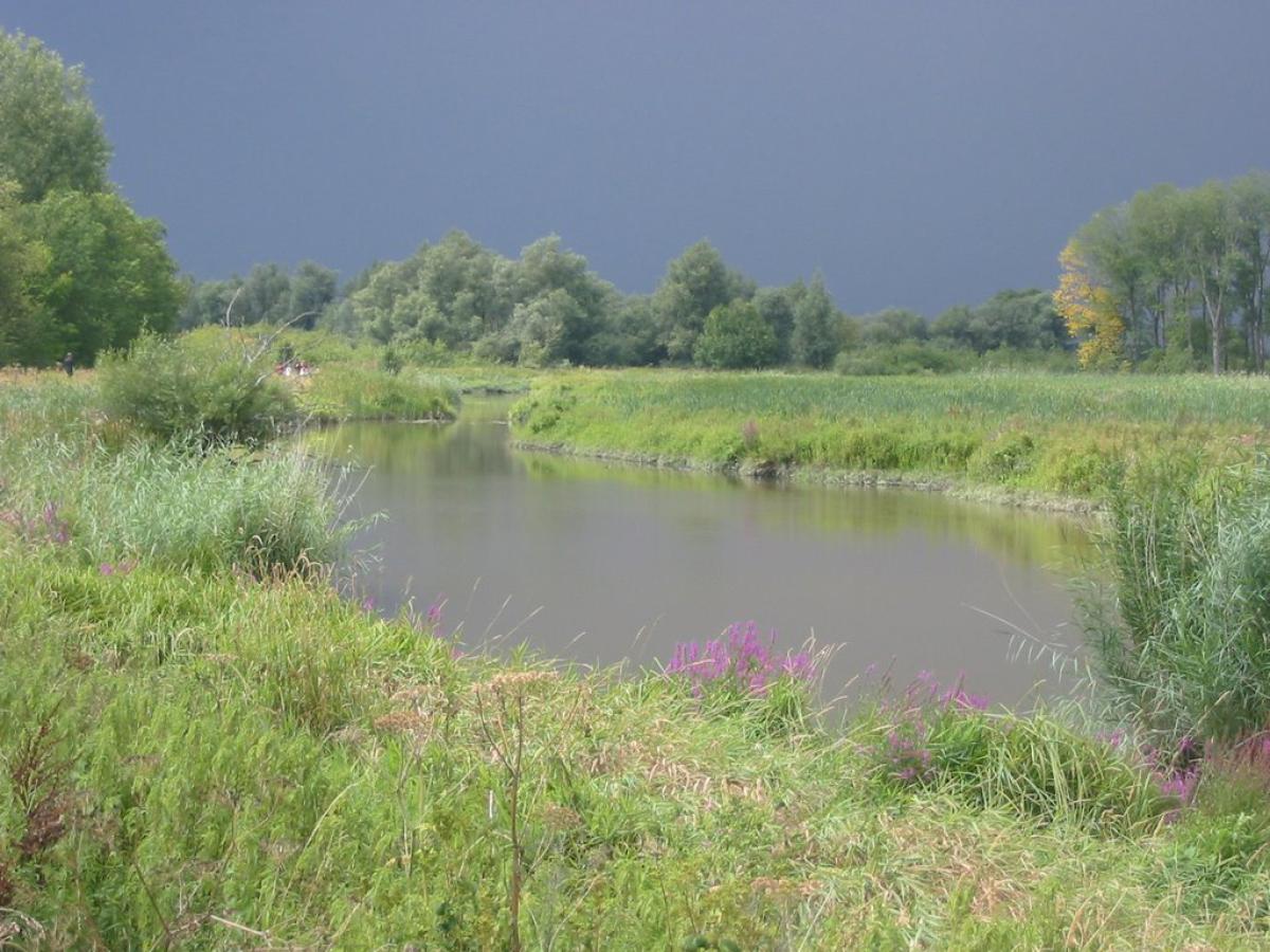 Autoroute door de Biesbosch - Oosterhout - Breda - Geertruidenberg