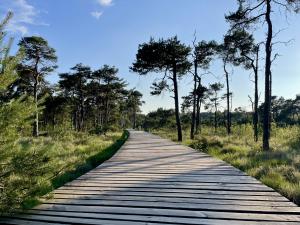 Wandelroute Vlonderpad bij Kasteel Twickel (Delden)