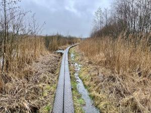Vlonderpad Vragenderveen / Korenburgerveen Wandeling (Vragender)