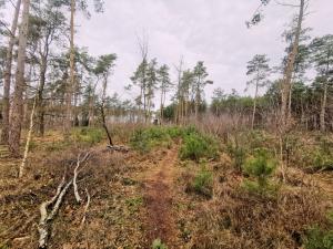 Outdoors Holten wandeling 5 km
