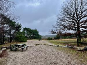 Wandelroute De Borkeld Markelo (Wandeling)