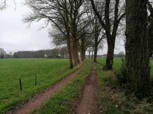 Wandelroute Bornerbroek