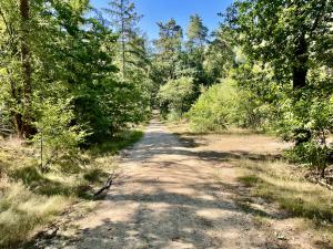 Wandelroute Herikerberg Goor / Markelo (wandelen)