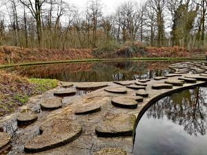 Wandeling door de Lankheet stapstenen wandelroute