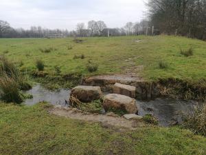 Wandelroute Enter - Reggedal wandeling