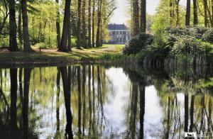 Autopuzzelroute Gooi en Vecht streek