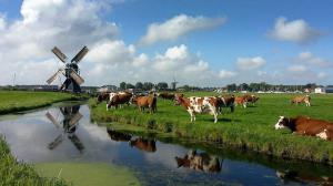 Autopuzzelrit Aalsmeer - Bodegraven - Aalsmeer