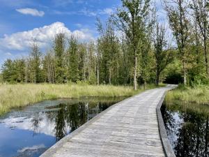 Vlonderpad - plankenpad Westerbork