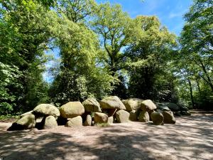 Hunebed wandeling Borger