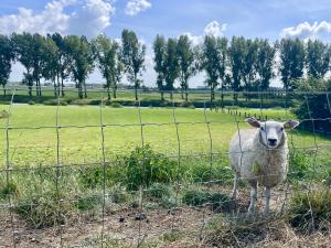 Autoroute Alblasserwaard tot de Betuwe