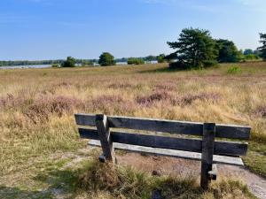 Wandeling Friezenberg - Bovenberg - Apenberg en Elsenerveld