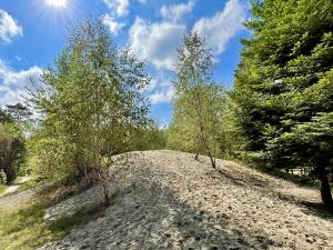 Wandelroute Wallebos Beetsterzwaag 5 KM
