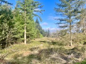 Holterberg wandelen 5 km
