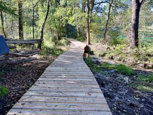 Vlonderpad Springendal