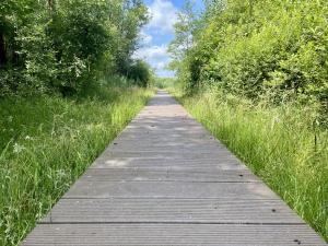 Plankenpad Vragenderveen 10 KM