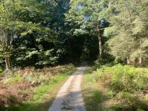 Wandelen Twickel 10 km 
