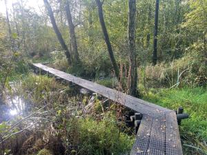 Vlonderpad Singraven (Denekamp)
