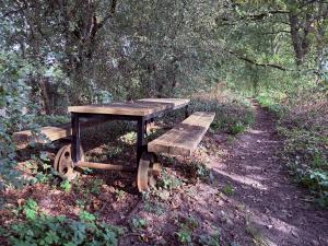 Wandeling Trambaan Oldenzaal naar Denekamp (10 km)