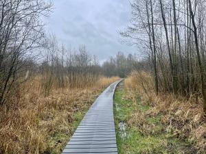 Vlonderpad / plankenpad Beekbergen / Apeldoorn