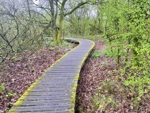 Vlonderpad Moerputten Den Bosch (Brabant)
