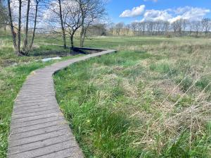 Vlonderpad / Plankenpad Drentsche Aa - Schipborg