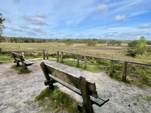 Wandeling Landgoed Tongeren Epe