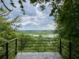 Grebbeberg wandelen 7 KM | Wandelen met hond