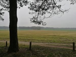Wandeling Markelo - Historische Wandelroute