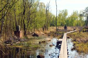 Vlonderpad Winterswijk (Wooldse Veen)