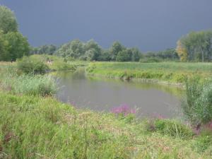 Autoroute door de Biesbosch - Oosterhout - Breda - Geertruidenberg