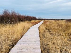 Wandelroute Vlonderpad Haaksbergerveen