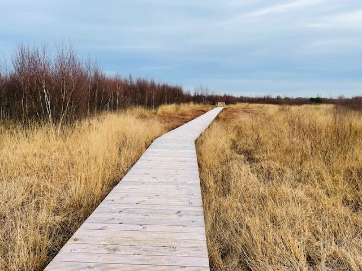 Wandelroute Vlonderpad Haaksbergerveen
